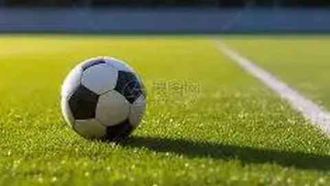 【NBA焦点对决】昨日3胜2场盛宴，公牛激战凯尔特人，精彩瞬间不容错过！